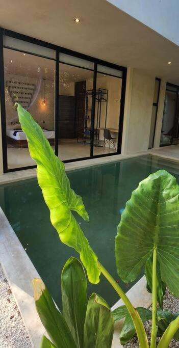 Apartment With Private Pool Tulum Chemuyil المظهر الخارجي الصورة